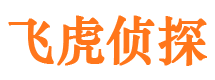 大丰外遇出轨调查取证